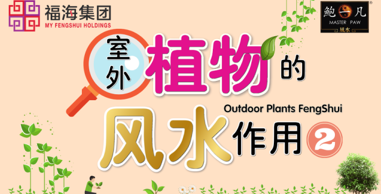 鲍一凡老师 室外植物的风水作用 上篇 鲍一凡老师 室外植物的风水作用 上篇