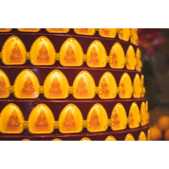 2024 点光明灯服务 Light Offering Dharma Service 2024 2024 点光明灯服务 Light Offering Dharma Service 2024