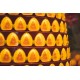 2024 点光明灯服务 Light Offering Dharma Service 2024 2024 点光明灯服务 Light Offering Dharma Service 2024