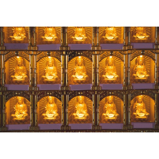 2024 点光明灯服务 Light Offering Dharma Service 2024 2024 点光明灯服务 Light Offering Dharma Service 2024