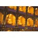 2024 点光明灯服务 Light Offering Dharma Service 2024 2024 点光明灯服务 Light Offering Dharma Service 2024