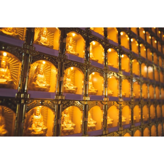 2024 点光明灯服务 Light Offering Dharma Service 2024 2024 点光明灯服务 Light Offering Dharma Service 2024