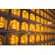 2024 点光明灯服务 Light Offering Dharma Service 2024 2024 点光明灯服务 Light Offering Dharma Service 2024