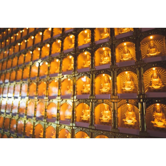 2024 点光明灯服务 Light Offering Dharma Service 2024 2024 点光明灯服务 Light Offering Dharma Service 2024