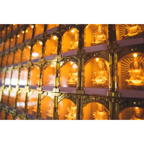 2024 点光明灯服务 Light Offering Dharma Service 2024 2024 点光明灯服务 Light Offering Dharma Service 2024